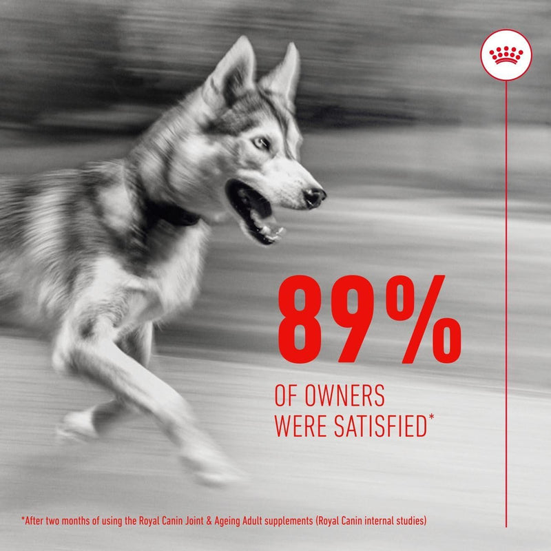 Royal Canin Dog Supplement for Joint & Ageing Soft Chews 240g