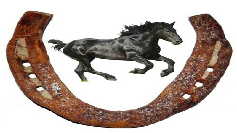 Original Black Horse Shoe/Kale Ghode ki naal, Metal Horse Shoe Kale Gode Ki Naal (12 cm x 2 cm x 12 cm, Black) Used, Standard