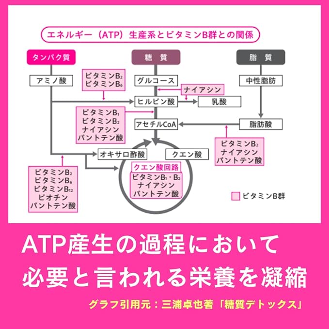 Miura Takuya Shoten Ketogenic ATP Production Boost Supplement 140 Tablets B Vitamins Carnitine Magnesium Iron Zinc Diet Supplement - BeesActive Australia