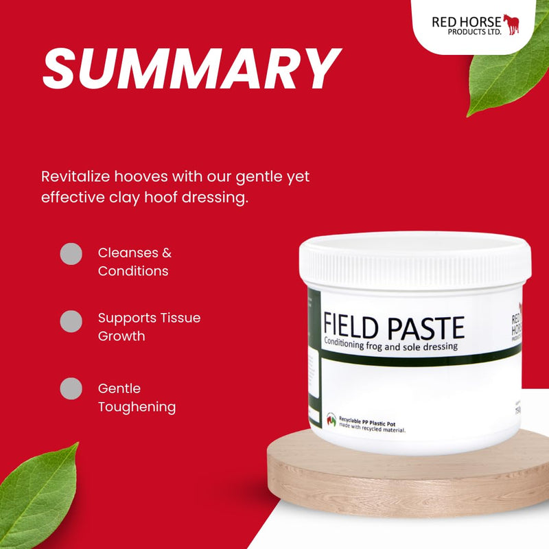 FunDADYUS Red Horse Products LTD. Field Paste Antifungal Sole Dressing 500ml - PawsPlanet Australia