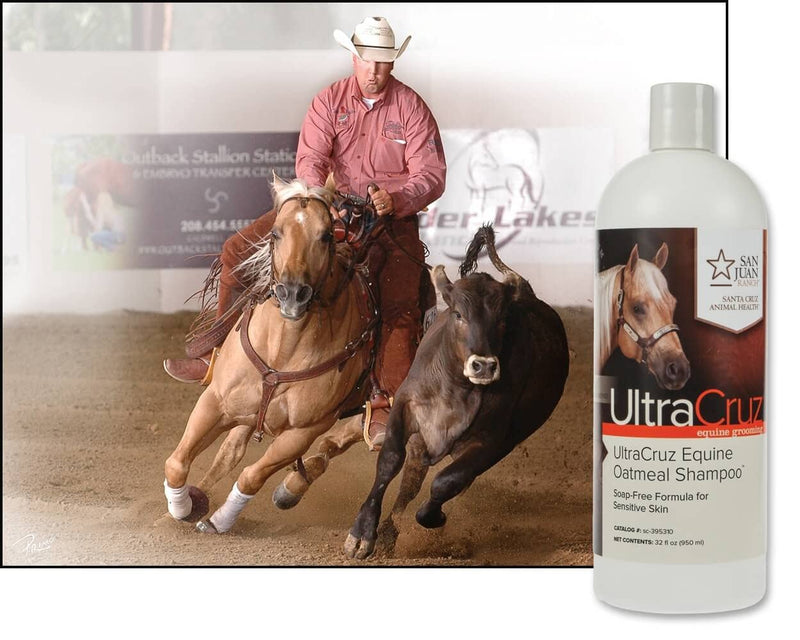 UltraCruz Equine Oatmeal Horse Shampoo, 32 oz,sc-395310,White - BeesActive Australia