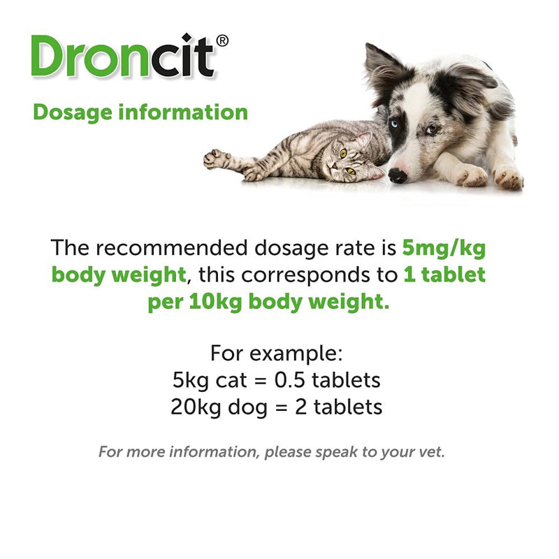 Droncit Tapewormer Tablet For Dogs and Cats (1 Tablet)