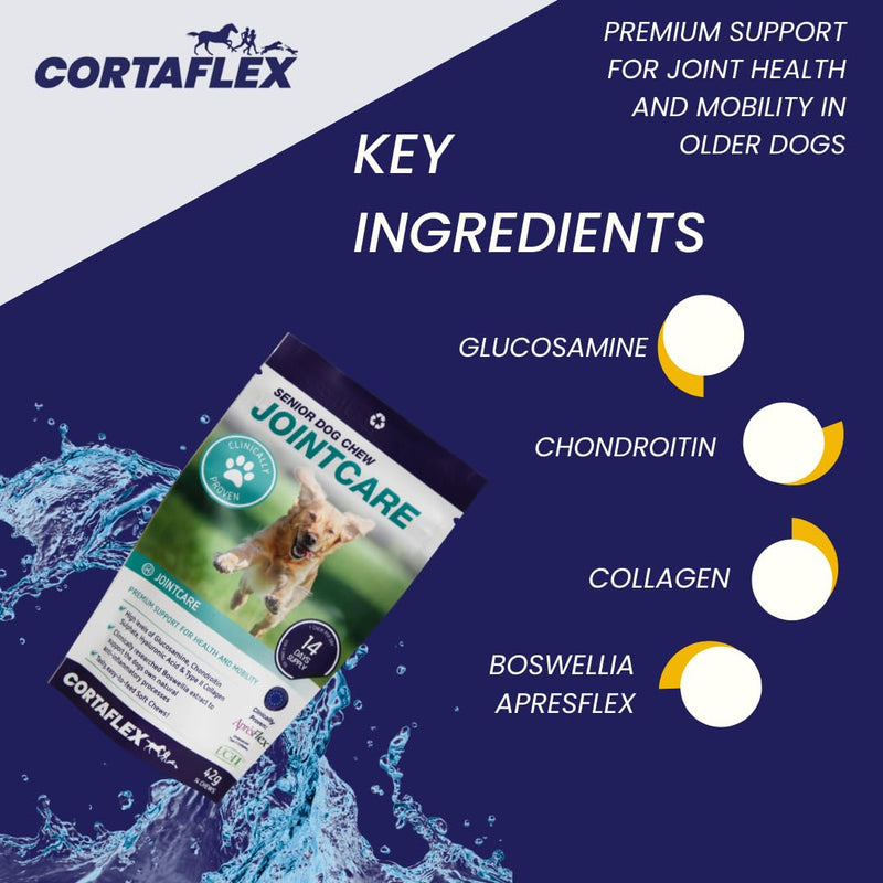 Senior Dog Chews (Contains 60 Chews) Supports Hip And Joint Mobility. Supplements For Dogs. Contains Chondroitin and Glucosamine. Dog Joint Support For Senior Dogs 60.0