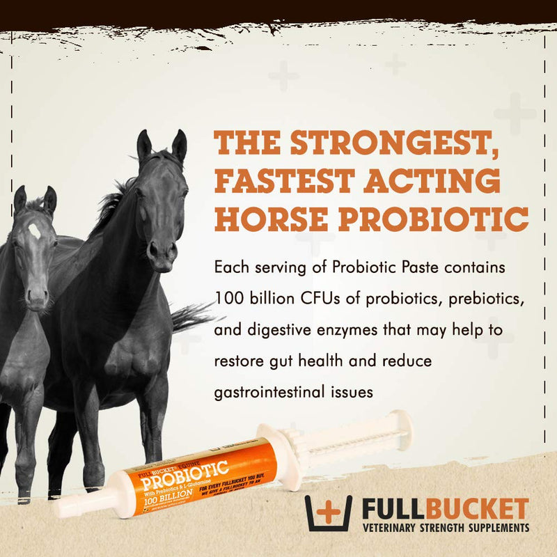 Equine Probiotic Paste with Saccharomyces Cerevisiae Boulardii for Daily Digestive Optimization; Concentrated Formula with 100 Billion CFUs, 1 Tube - BeesActive Australia