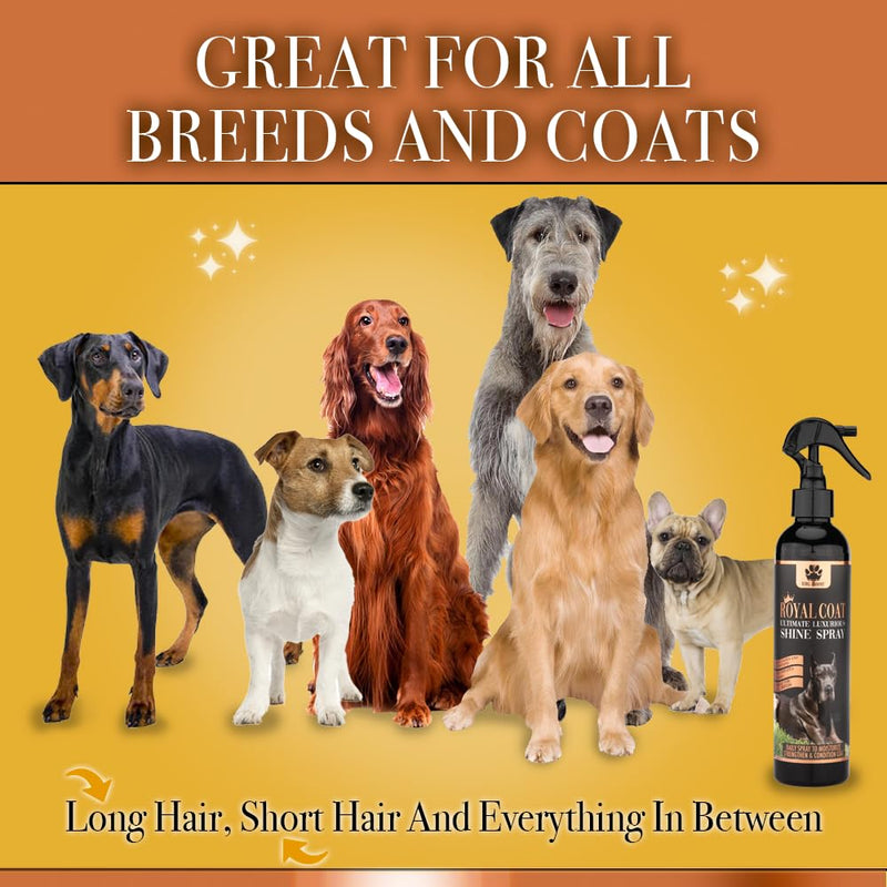 King Kanine Coat Shine Dog Spray - Royal Coat Dog Spray Deodorizer Perfume - Premium Moisturizing Coat and Shine Spray - Promotes Soft Healthy Skin - 8oz - PawsPlanet Australia