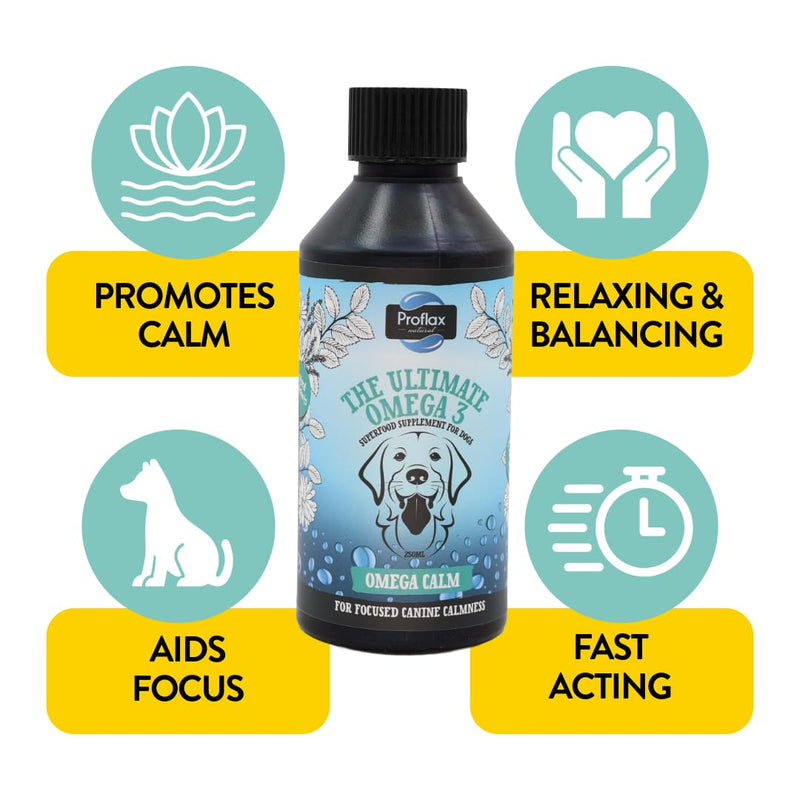 Proflax Natural Omega Calm Oil Supplement for Dogs, 100ml - Provides High Level of Calming Support for Anxious Dogs and Puppies - Great for Dogs who Bark Excessively, Chew or are Destructive Fish
