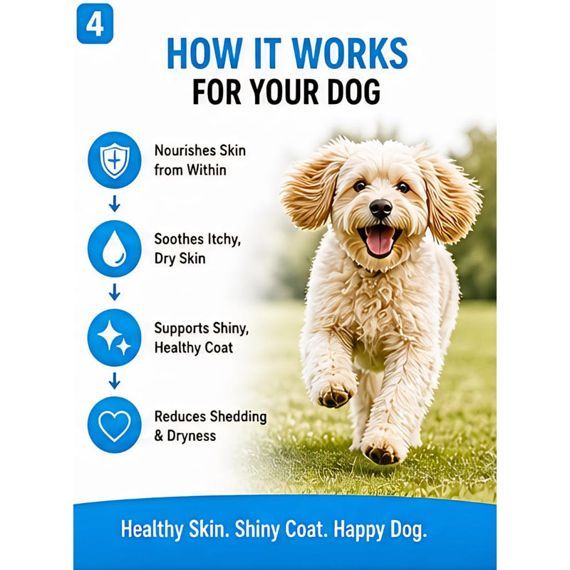 Skin & Coat Dog Chews – 60 Soft Chews, 6.3 oz, Natural Chicken Flavor, Omega-3 & Vitamins for Healthy Skin & Shiny Coat