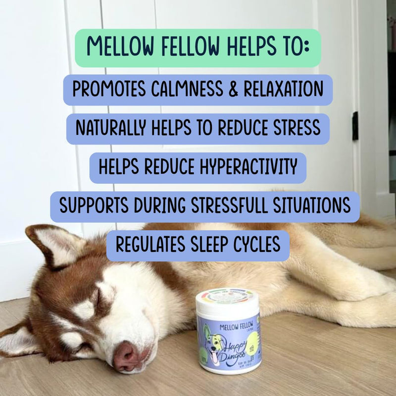 Calming Chews for Dogs for Anxiety, Relaxation, Everday Stress, Thunder Support, Separation Anxiety - with Hemp, Chamomile, Valerian Root, Melatonin - Bacon (120ct)