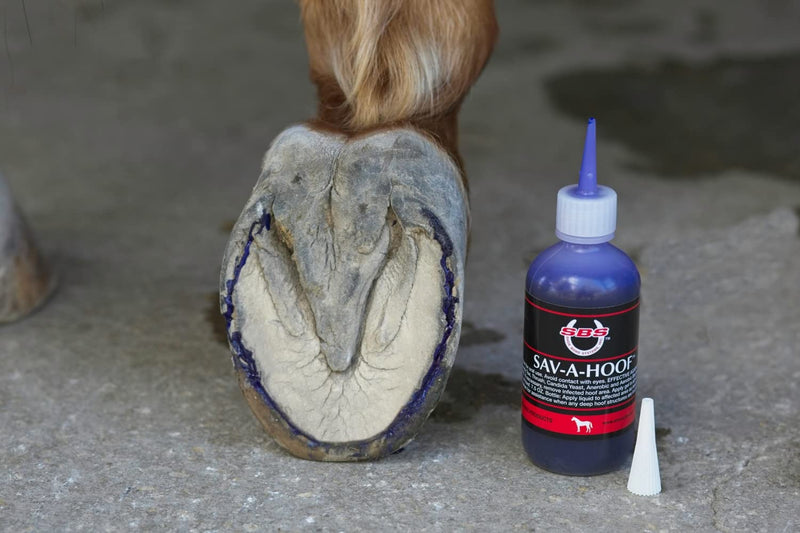 Gel II by SBS EQUINE, Hoof Treatment, Long - Lasting Time Release Formula, No Messy Waste or Run-Off 4 oz - BeesActive Australia