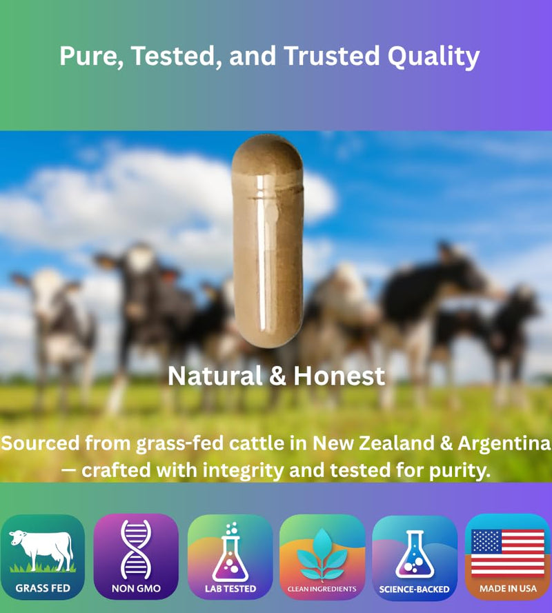Grass-Fed Beef Organ Supplement for Energy & Vitality – Pasture-Raised Blend of Liver, Heart, Kidney, Pancreas & Spleen, 180 Capsules, Hormone-Free, Made in USA
