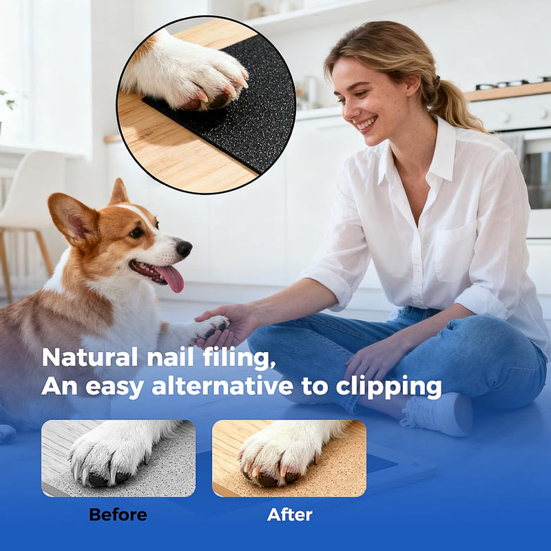4-Pack Dog Nail Scratch Board Replacement Sandpaper, Self-Adhesive Pads for Dog Scratch Board, Fits Most Dog Scratch Pads for Effective Dog and Cat Claw Care - BeesActive Australia