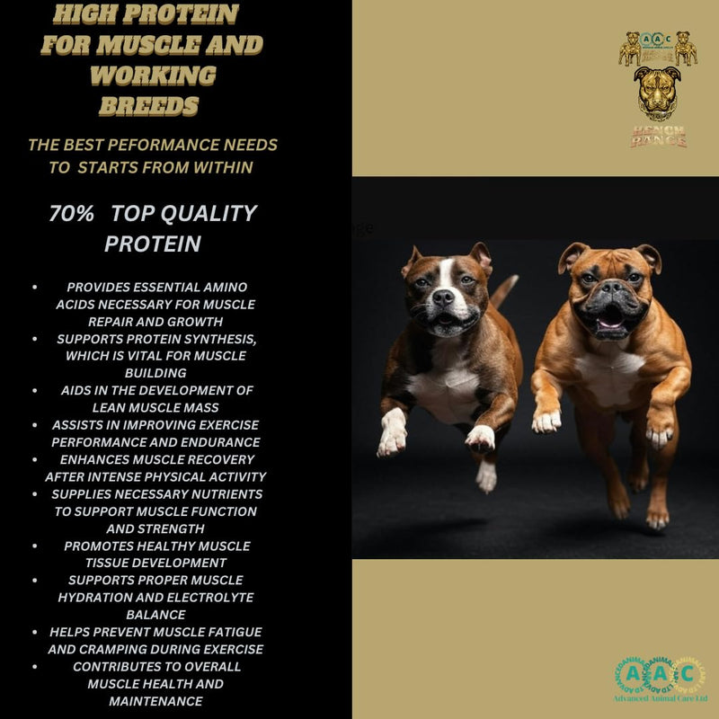 High Protein 70% & Nutritional Supplement For Dogs Muscle, Speed, Stamina, Focus, Energy, Rehab, Recovery, Repair, Probiotic Hench Range Jayfuel All Breeds