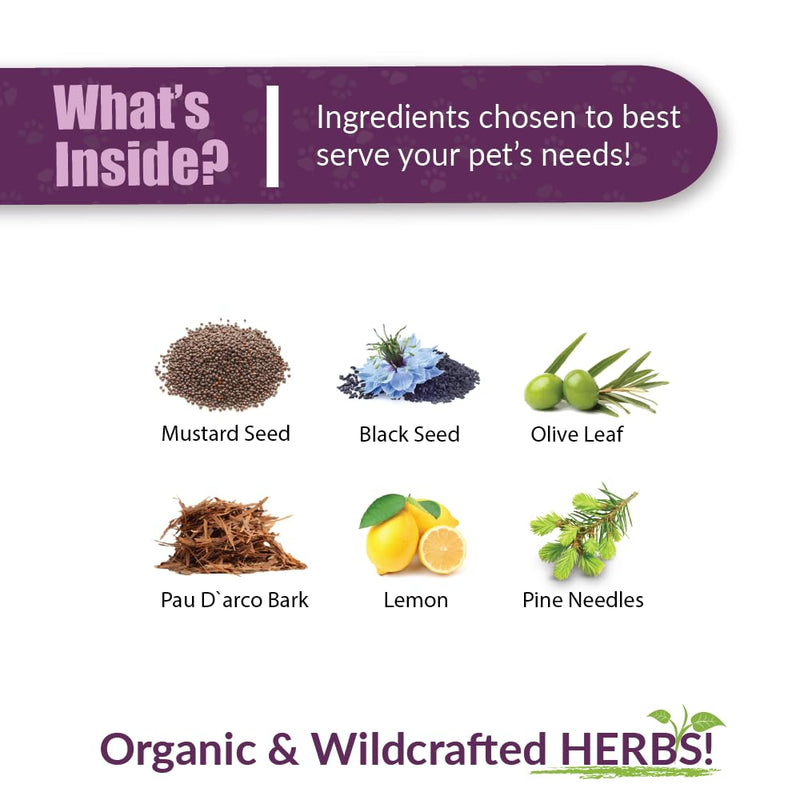 Amber NaturalZ UTR Urinary Tract Herbal Supplement for Dogs, Cats, Birds, Guinea Pigs, and Rabbits | Pet Herbal Supplement for Bladder Support | 1 Fluid Ounce Glass Bottle | Manufactured in The USA 1 Fl Oz (Pack of 1)