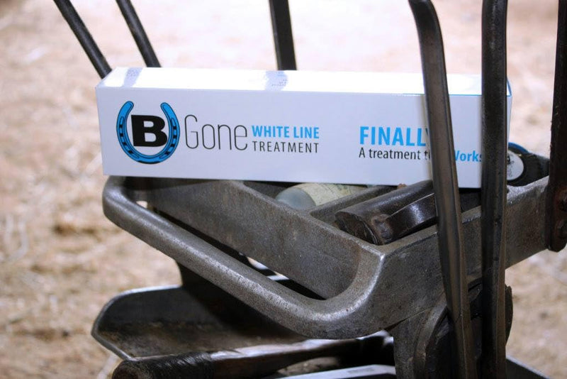B Gone White Line Treatment - Official Store, for Equestrians, Horses with Whiteline Disease, Seedy Toe, Horse Care, White Line Prevention, Easy Apply Bottle