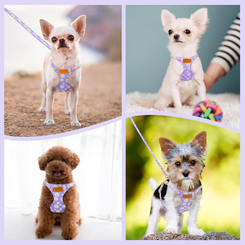 SlowTon No Pull Dog Harness with Leash - Soft Lightweight Floral Pattern Puppy Harness, Adjustable Pet Harness for Small Medium Dogs Doggie (Purple S) Small(9-17.5lb) Purple - BeesActive Australia