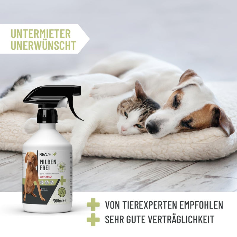 ReaVET anti mite spray for dogs, cats and horses 500 ml - mite spray with immediate effect against itching and infestation, anti mite spray I mite protection for effective defense against mites and parasites 500 ml - BeesActive Australia
