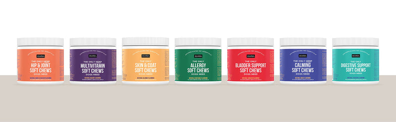 Natural Rapport Dog Allergy Supplement - The Only Allergy Soft Chews Dogs Need - 120ct Treats That Contain Kelp and Bee Pollen for Allergy and Itch Relief Allergy Chew - PawsPlanet Australia
