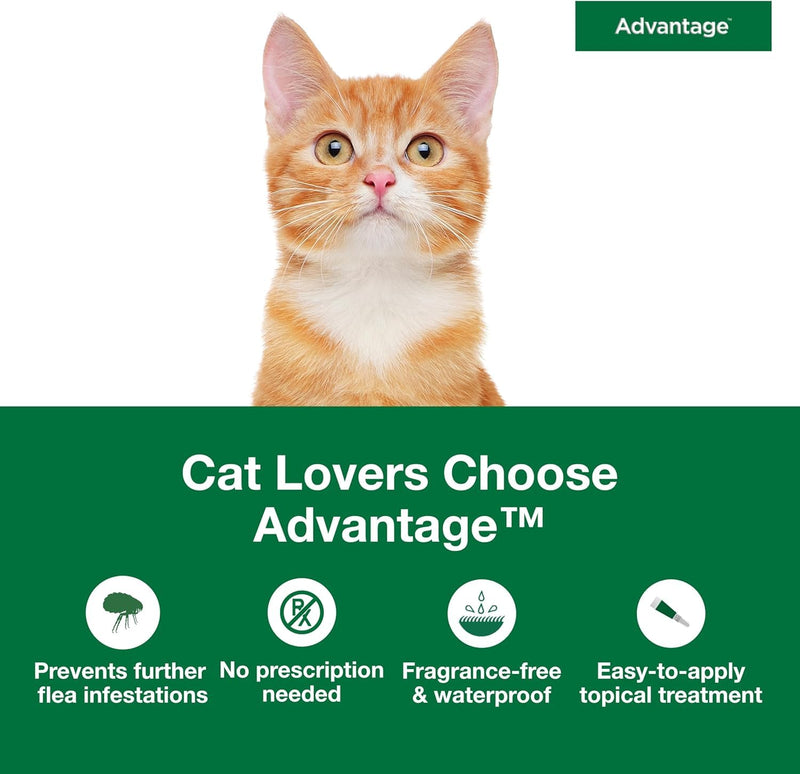 Bundle of Advantage Topical Cat Flea Treatment and Prevention for Small Cats 2-9 lbs. + Advantage Household Spot & Crevice Spray | Kills Fleas & Ticks & Bedbugs | 24 oz. Small Cat + Household Spray