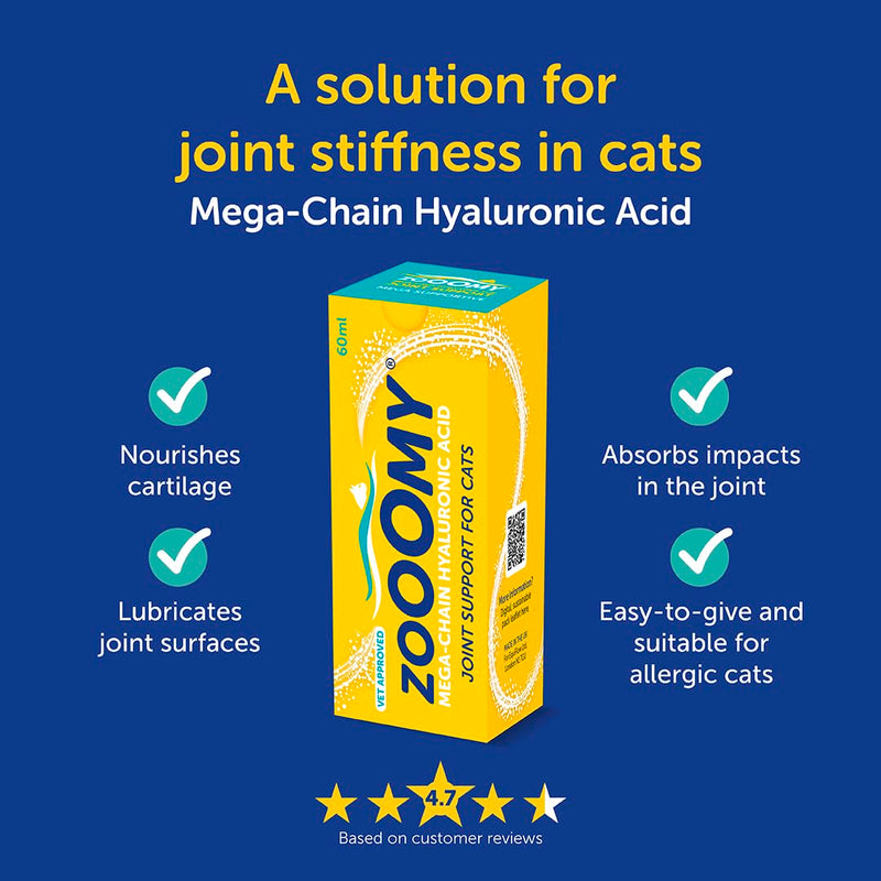 CaniFlow Zooomy Liquid Cat Joint Supplement - Hyaluronic Acid for Hip & Joint Care, Stiffness Relief for Cats, Senior Mobility Support, Easy to Give via Syringe Onto Food, Lasts up to 2 Months, 60ml