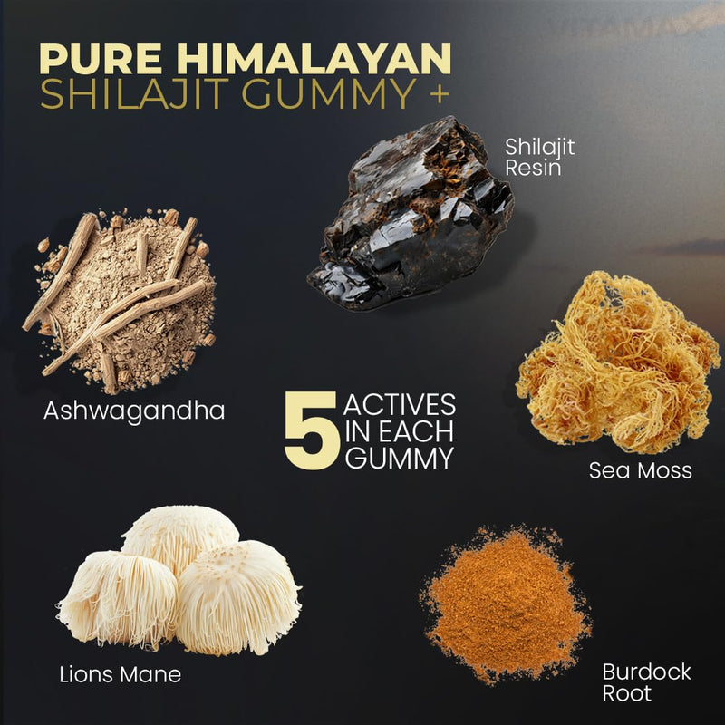 Pure Shilajit Gummies, Sea Moss, Ashwagandha, 105+ Trace Minerals – Organic Burdock Root & Lions Mane Mushroom – Watermelon Flavor - Vegan & Non-GMO – Made in USA – 60ct