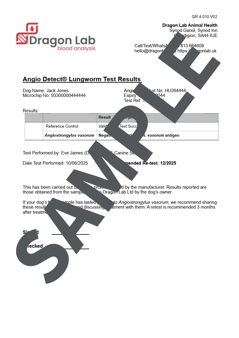 Dragon Lab & Canine Lungworm Test Kit Blood Screening for Dogs | 98.1% Accurate |
