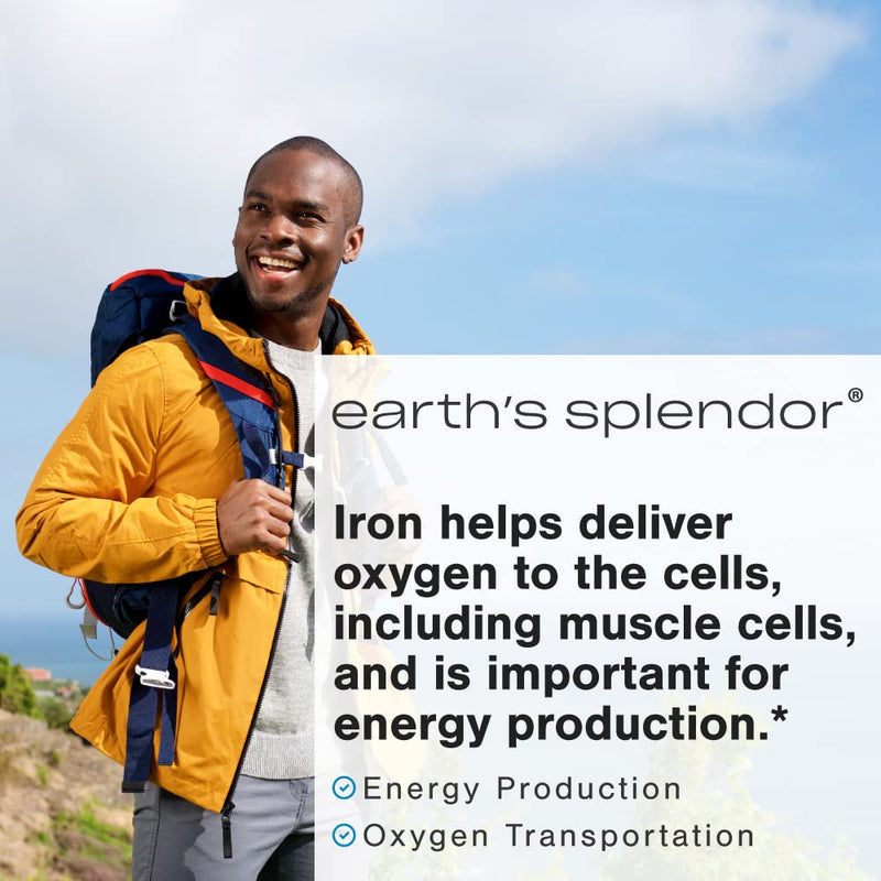 Earth's Splendor Iron 65mg USP Ferrous Sulfate 325mg Tablets 90 Count | Supports Energy Production Oxygen Transportation Healthy Blood Daily Supplement Three Month Supply 90 Tablets Iron 65 mg
