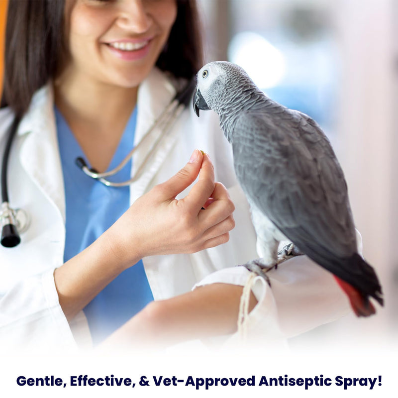 F10 Antiseptic Wound Spray for Reptiles, Birds, Small Animals & Exotic Animals, Antiseptic Pain Relief Spray & Prevents Infection - 100ml 100 ml - PawsPlanet Australia
