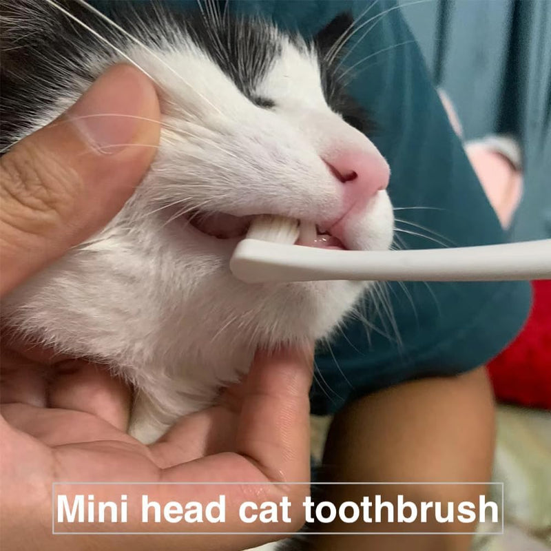 6 Pcs Cat Toothbrush with Micro Head to fit into Cat Mouth, Ultra Soft Bristles Pet Toothbrush Kit, Kitten/Puppy Toothbrushes, Kitty Dental Care Supplies, Avoid Bleeding Gums & Help Gap Cleaning