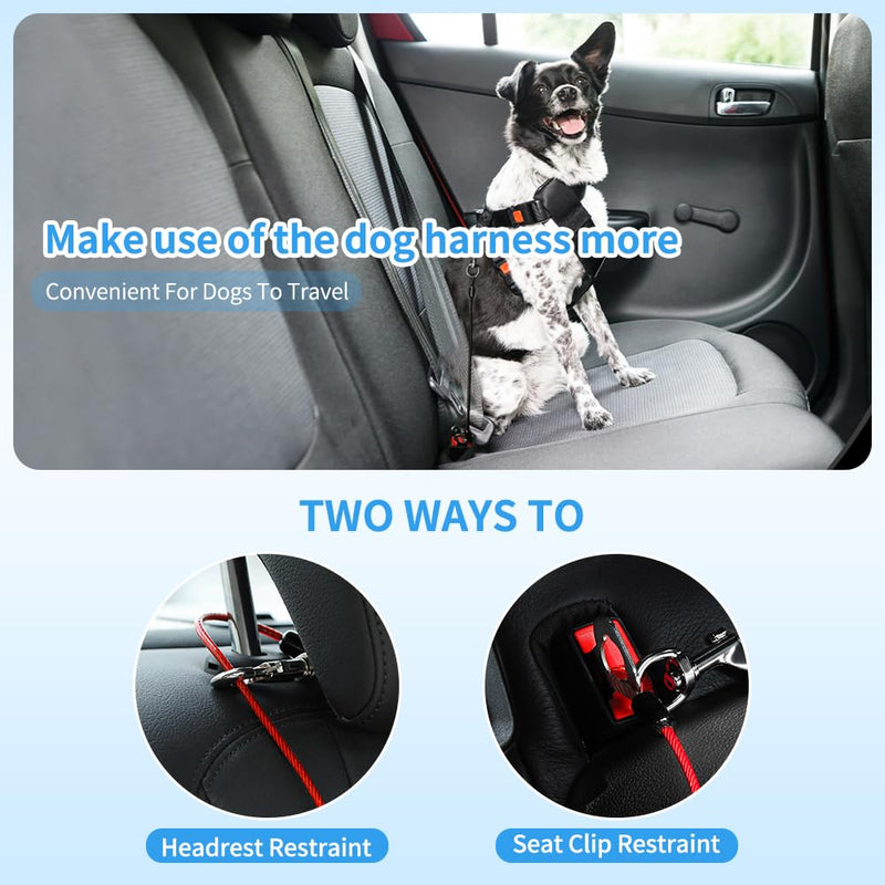 Dog Seat Belt Harness for Car,2pcs Dog Seatbelt of Coated Wire Leash Safety Restraint,No Chew Tether Cable Vehicle Dog Accessories,Double Clips & Latch (2 Pack Black, 24 inch/60 CM) 2 Pack Black - BeesActive Australia
