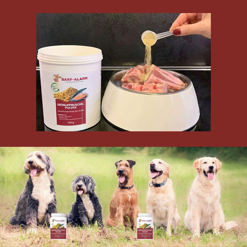 500g Premium Green Lipped Mussel Powder Dog - Made in Germany - Green Lipped Mussel for Dogs Cats Horses 100% pure - Green Lipped Mussel Extract Dogs Perna Canaliculus - Barf Powder Dog Cat Horse - BeesActive Australia