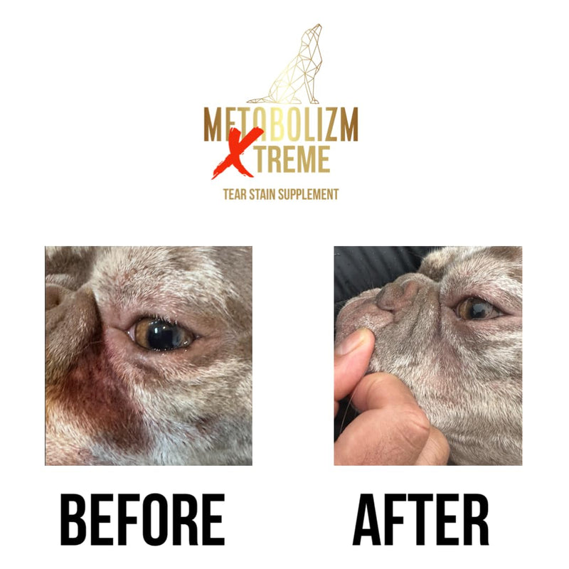 Metabolizm Xtreme Tear Stain Remover for Dogs – 60 Vegetarian Capsules | Reduces Tear Stains & Eye Watering | Promotes Bright Clear Eyes and a Healthy Shiny Coat