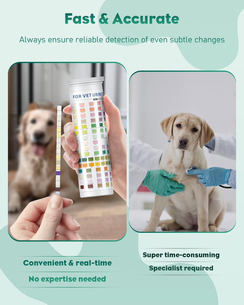 Pawfly 100 Strips Urine Test Strips, UTI Test Kit for 16 Parameters, Pet Urine Testing Strips, Veterinary Urinalysis Test Strips for Ketone, Glucose, Blood, Specific Gravity pH & More 16 in 1 - BeesActive Australia