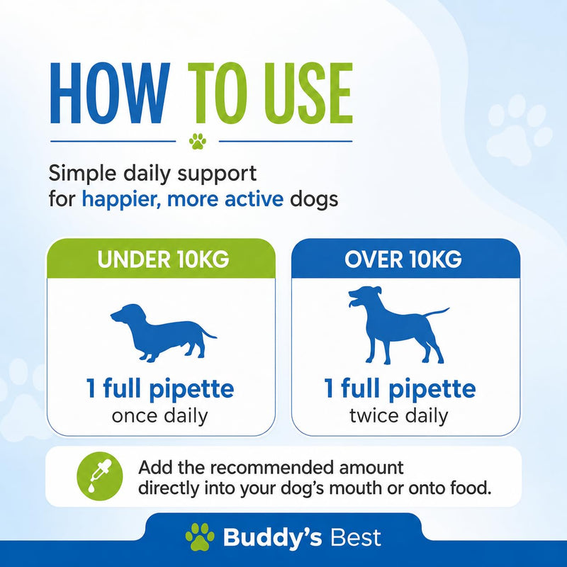 BUDDY'S BEST Twin Pack Dog Joint Support Plus | 50ml | Supports Healthy Joints & Mobility in Dogs | Natural Ingredients for Daily Wellness | Easy to Use | Made in the UK Pack of 2