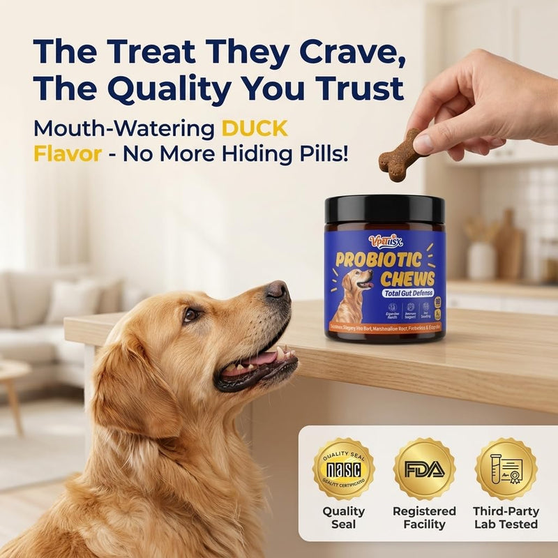 Advanced Dog Gut & Immune Support - Probiotics for Dogs Upset Stomach & Gas Relief with Pumpkin, Slippery Elm,Colostrum & Digestive Enzymes, Duck Flavor