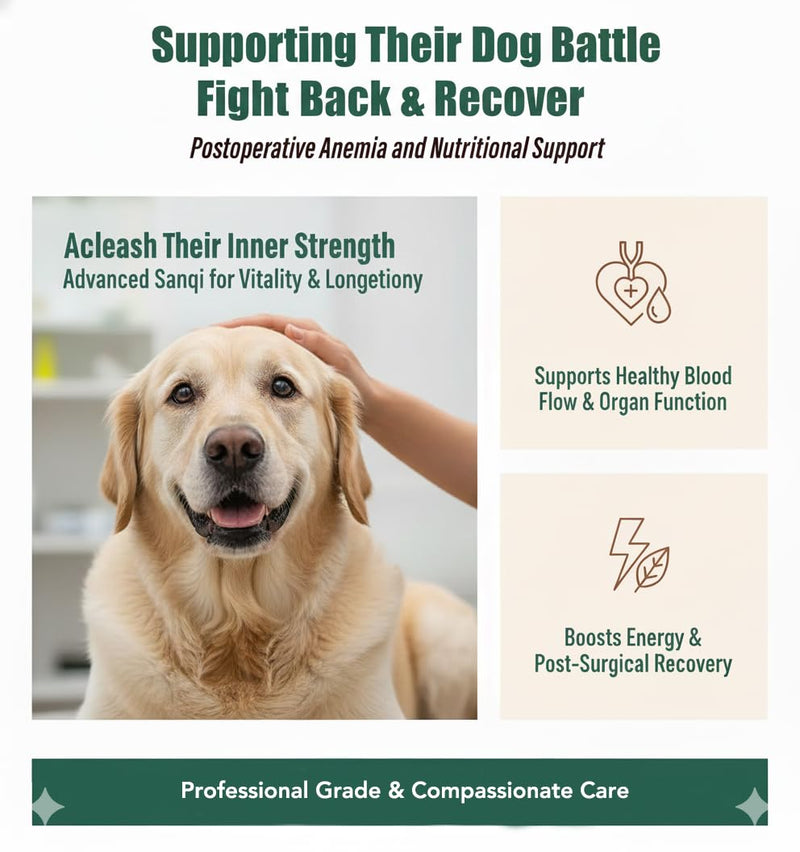 Yunnan Sanqi Capsules for Dogs - Pure Herbal Quick Stop Bleeding & Blood Support for Hemangiosarcoma, Hemoabdomen, Pericardial Effusion, Severe Bruising, Ulcer-Related Bleeding, 90 Capsules
