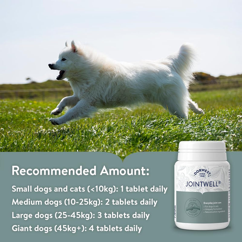 Dorwest JointWell 100 Tablets for Dogs & Cats – Natural Dog Supplements to Support Joint Mobility and Comfort, with Glucosamine, Chondroitin, Zinc, Vitamin C and Hyaluronic Acid