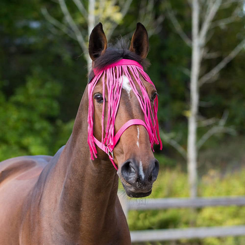 HORZE Lightweight Nylon Fringe Fly Veil | Easily Attaches to Halter - Raspberry Pink - Cob - BeesActive Australia