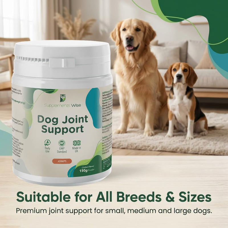 Joint Powder for Dogs - Includes Green Lipped Mussel for Dogs & Glucosamine - Joint Supplements for Your Young or Senior Dog - Mobility Support -150g Chicken Flavour