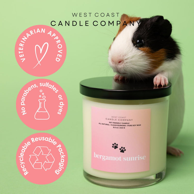Pet Friendly Wax Melts | Pet Safe Wax Melts | All Natural Dog Safe Wax Melts | Non-Toxic Wax Melts | Pet Odor Eliminator | Pure Soy Wax Melts | Veterinarian Approved (Bergamot Sunrise) Bergamot Sunrise - BeesActive Australia