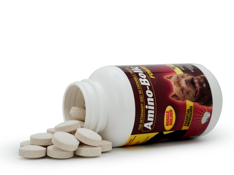 Amino-Bolic Forte Nutritional Supplement for Working Dogs by Interfarma Corp | Muscle Growth Supplement for Dogs | with Soy Protein, & Essential Aminoacids | Beacon Flavor | 60 Chewable Tablets. (1)