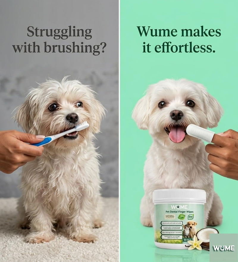 WUME Pet Dental Finger Wipes for Dogs & Cats Vet-Inspired Teeth Cleaning Wipes, Toothbrush Alternative, Gentle, Alcohol-Free, Disposable, 50 Counts Unscented