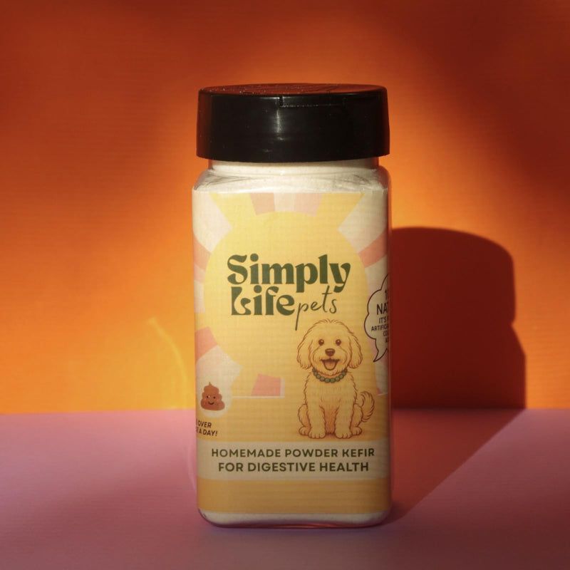 Simply Life Pets Kefir Powder Probiotic for Dogs, Freeze-Dried – Natural Digestive & Immune Support (1oz) 1oz