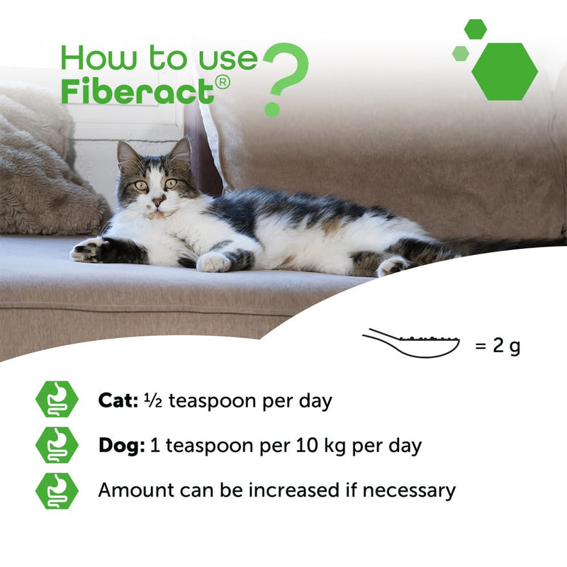 MP Labo Fiberact 100 g Jar - Supports Intestinal Transit for Dogs and Cats - Blond Psyllium Husk Powder