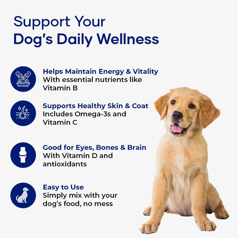 NutriFlo Dog Vitamins & Supplements – 10-in-1 Dog Multivitamin for Gut Health, Hip & Joint, Immune Support, Skin & Coat, Dental Health & Longevity | Daily Dog Supplement for All Breeds 1