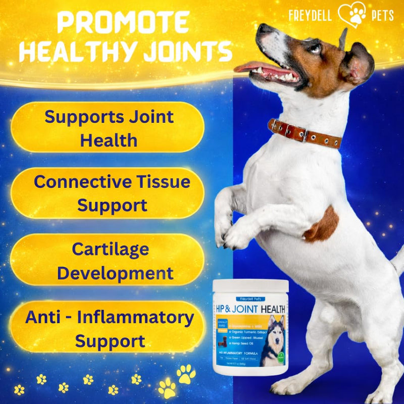 Freydell Pet's Dog Hip and Joint Chews - Keep Your Big Dog Moving – Advanced Joint Chews with Glucosamine, Chondroitin, Hemp Seed Oil & Turmeric to Support Mobility, Flexibility, and Joint Comfort