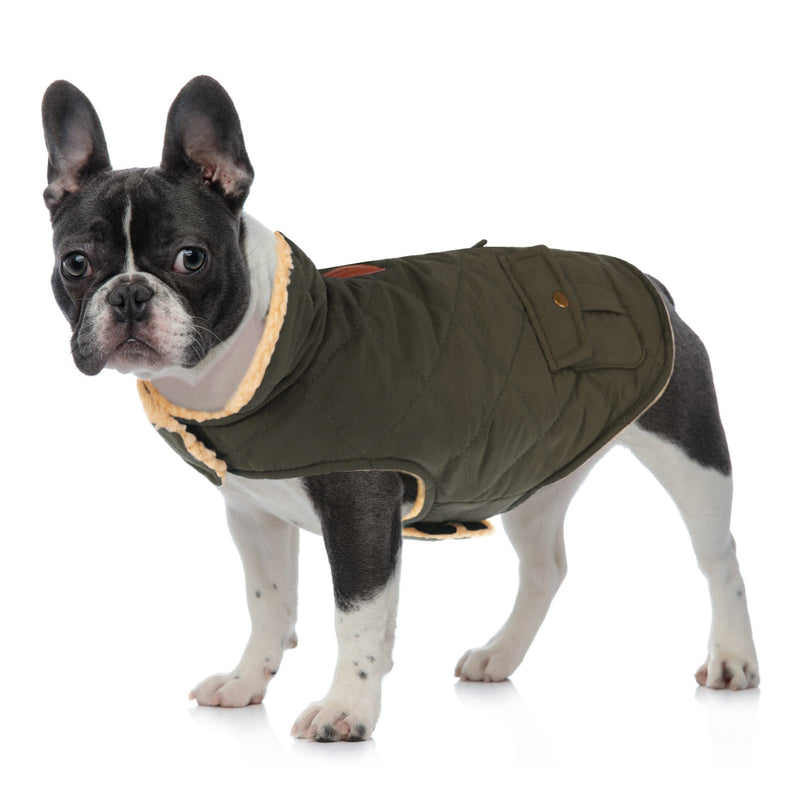 Queenmore Warm Dog Coat, Cold Weather Puffer Dog Coat, Quilting Winter Dog Jacket Ultra Thick Plush Lining with Storage Pockets (Green, Small) Green - BeesActive Australia