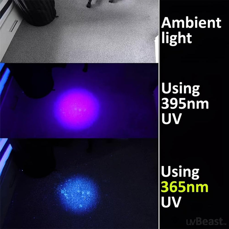 TOCH 4 Pcs UV Flashlight Black Light 365nm Small UV Light Flashlight LED Portable Ultraviolet Blacklight Torch Light Pet Urine Detector for Dog/Cat Urine Dry Stains Resin Curing（8*AA Battery Include） - BeesActive Australia