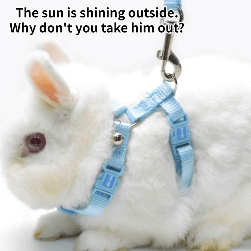 Rabbit Bunny Harness with Leash Adjustable Soft Nylon Harness Rabbit Vest Harness Lead Leash Pink Blue Lead Leash All Season for Small Animals (Blue,S) S - BeesActive Australia