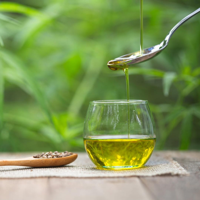 Hemp Oil for Dogs 500ml - Cold Pressed Food Grade 500 ml (Pack of 1)
