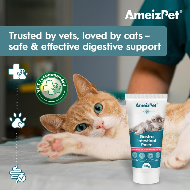 AmeizPet Gastro Intestinal Paste For Cats, Gastro Intestinal Support For Gut Health And Intestinal Flora, Digestive Support Supplement For Cats And Kittens, 3.53 Oz (100g)